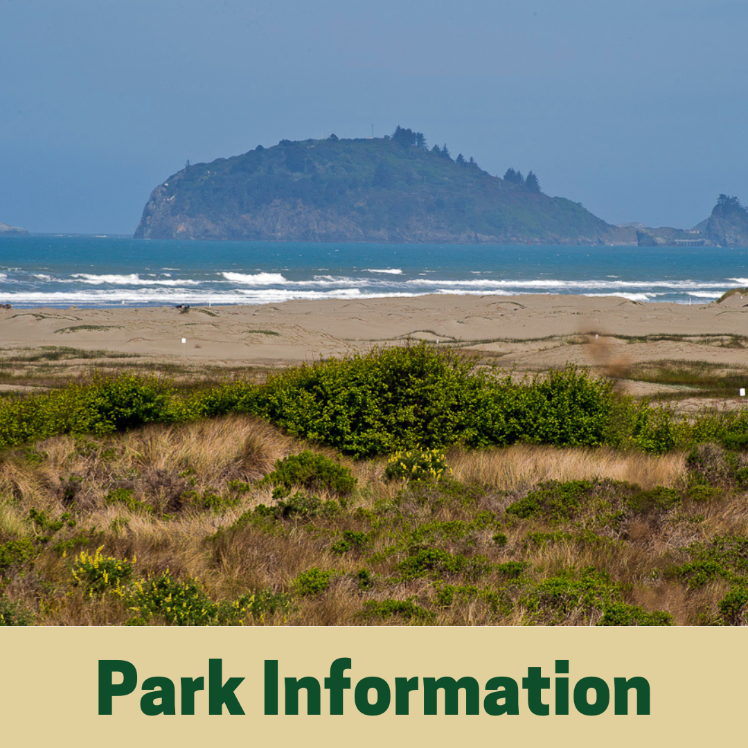 Park Information